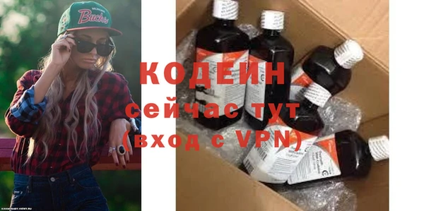 прущие грибы Бородино