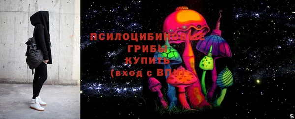 прущие грибы Бородино