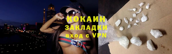 прущие грибы Бородино