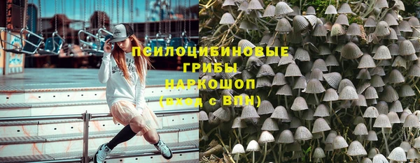 синтетический гашиш Богородицк
