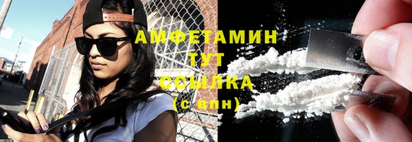 прущие грибы Бородино