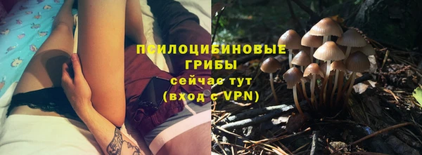 синтетический гашиш Богородицк
