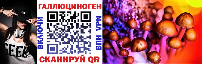 MEGA ссылка  площадка как зайти  Галлюциногенные грибы ЛСД  Гудермес 